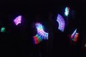 Filename=DSC_0662.jpg
Filesize=1816KiB
Dimensions=3872x2592
Date added=Aug 01, 2018 DSC_0662.jpg